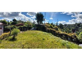  Land for sale in San Vicente, Antioquia, San Vicente