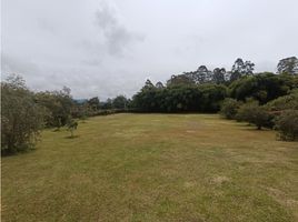  Grundstück zu verkaufen in Rionegro, Antioquia, Rionegro