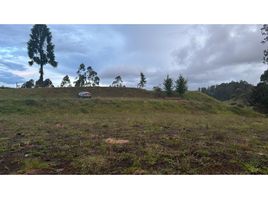  Terreno (Parcela) en venta en Rionegro, Antioquia, Rionegro