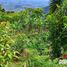 3 Bedroom Villa for sale in Risaralda, Caldas, Risaralda