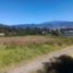  Land for rent in Tumbaco, Pichincha, Tumbaco, Quito, Pichincha