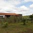  Land for sale in Tapalpa, Jalisco, Tapalpa