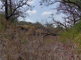  Grundstück zu verkaufen in San Carlos, Panama Oeste, San Jose