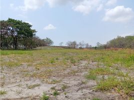  Terreno (Parcela) en venta en Panamá Oeste, San José, San Carlos, Panamá Oeste