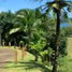  Land for sale in Colon, Maria Chiquita, Portobelo, Colon