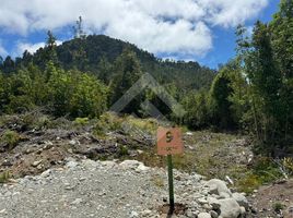  Terreno (Parcela) en venta en Puerto Montt, Llanquihue, Puerto Montt