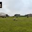  Terrain for sale in Chiloe, Los Lagos, Castro, Chiloe