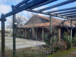 5 Habitación Casa en venta en Curico, Curicó, Curico