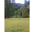  Land for sale in Palena, Los Lagos, Futaleufu, Palena