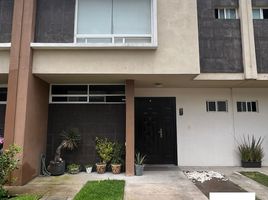 3 Schlafzimmer Villa zu verkaufen in Temoaya, Mexico, Temoaya