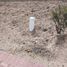  Terreno (Parcela) en venta en Huimilpan, Querétaro, Huimilpan