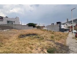  Land for sale in Morelia, Michoacan, Morelia, Michoacan
