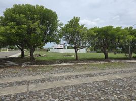  Grundstück zu verkaufen in Colima, Colima, Colima, Colima
