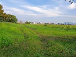 在Zamora, Michoacan出售的 土地, Zamora