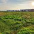  Land for sale in Zamora, Michoacan, Zamora