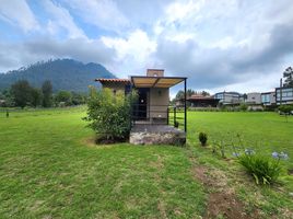 1 Schlafzimmer Villa zu vermieten in Valle De Bravo, Mexico, Valle De Bravo