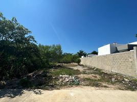  Grundstück zu verkaufen in Conkal, Yucatan, Conkal, Yucatan