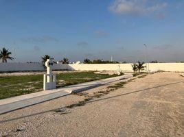  Grundstück zu verkaufen in Progreso, Yucatan, Progreso