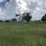 Terrain à louer à Pereira, Risaralda, Pereira, Risaralda