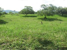 Terrain à louer à Pereira, Risaralda, Pereira, Risaralda
