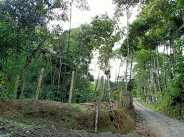  Grundstück zu verkaufen in Santa Rosa De Cabal, Risaralda, Santa Rosa De Cabal