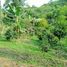  Grundstück zu verkaufen in Santa Rosa De Cabal, Risaralda, Santa Rosa De Cabal