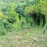  Grundstück zu verkaufen in Santa Rosa De Cabal, Risaralda, Santa Rosa De Cabal