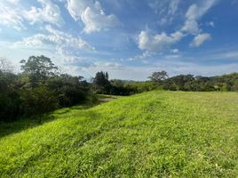  Land for sale in Pereira, Risaralda, Pereira