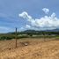  Land for sale in Pereira, Risaralda, Pereira