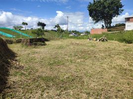  Terreno (Parcela) en venta en Ulloa, Valle Del Cauca, Ulloa