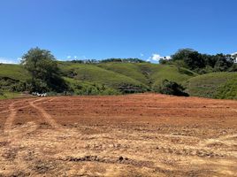  Terreno (Parcela) en venta en Pereira, Risaralda, Pereira