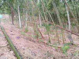  Terreno (Parcela) en venta en Pereira, Risaralda, Pereira