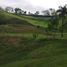  Terrain for sale in Neira, Caldas, Neira