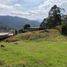  Land for sale in Envigado, Antioquia, Envigado