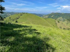 Estudio Villa en venta en Colombia, Maceo, Antioquia, Colombia