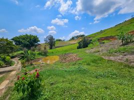  Grundstück zu verkaufen in Pereira, Risaralda, Pereira, Risaralda