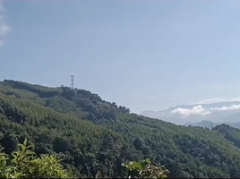  Grundstück zu verkaufen in Santa Rosa De Cabal, Risaralda, Santa Rosa De Cabal
