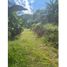  Land for sale in Caldas, Risaralda, Caldas