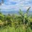  Land for sale in Caldas, Risaralda, Caldas