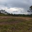  Land for sale in Rionegro, Antioquia, Rionegro