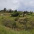  Land for sale in Rionegro, Antioquia, Rionegro