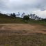  Land for sale in Rionegro, Antioquia, Rionegro