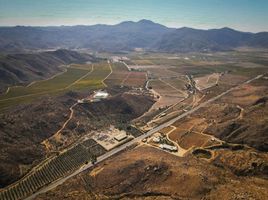  Terrain for sale in Tecate, Baja California, Tecate