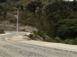 Terrain à vendre à Zapopan, Jalisco, Zapopan, Jalisco