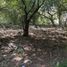  Terreno (Parcela) en venta en Tuxtla Gutierrez, Chiapas, Tuxtla Gutierrez, Chiapas