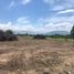  Land for sale in Allende, Nuevo Leon, Allende
