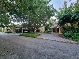 6 chambre Maison for sale in Merida, Yucatan, Merida