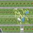 Land for sale in Montemorelos, Nuevo Leon, Montemorelos