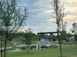 Land for sale in Montemorelos, Nuevo Leon, Montemorelos