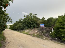 Terrain à vendre à Chicxulub Pueblo, Yucatan, Chicxulub Pueblo